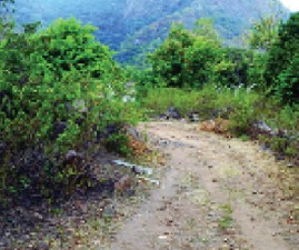 pkd-parambikkulam