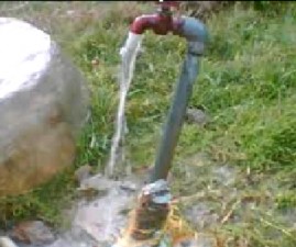 pkd-water