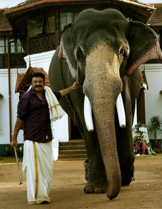 puli4
