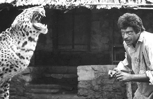 puli5