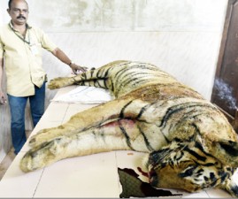 tcr-kaduva