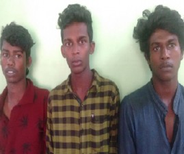 tvm-arrest