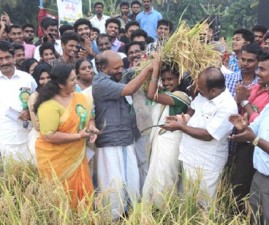 tvm-krishi