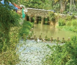tvm-malinyam