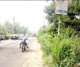 alp-kadukayariya