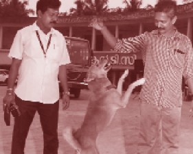 ekm-dogksrtc