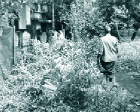 ekm-vashi