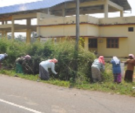 pkd-busstand