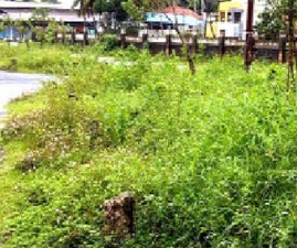 tvm-kadu