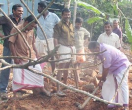 tvm-krishi