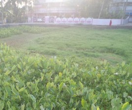 tvm-kulam