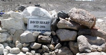 david-sharp.jpg.image.784.410