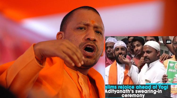 yogi