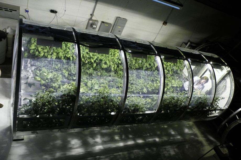 space_greenhouse_nasa_lunar_mars_university_arizona_2.0