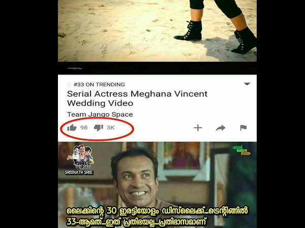 03-1493794261-megna-pre-marriage-video-troll-08