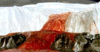 antarcticas-blood-falls.jpg.image.784.410