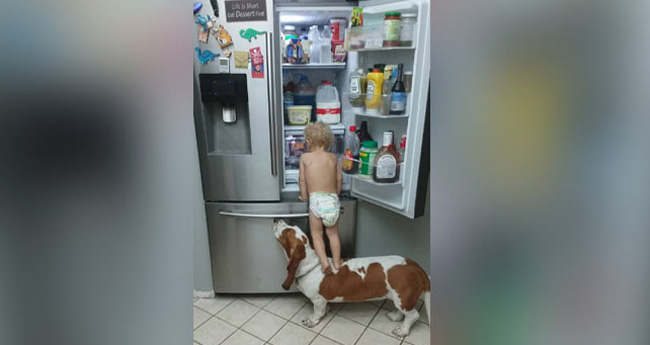 Toddler_dog01